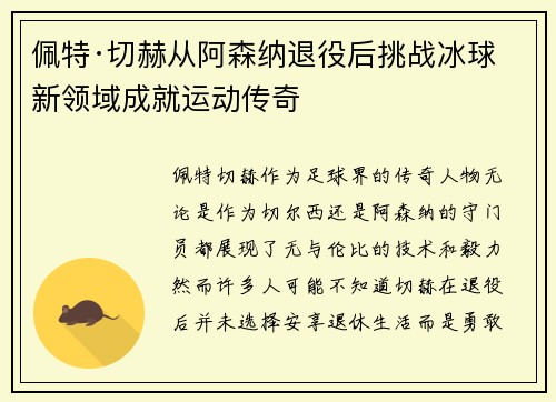 佩特·切赫从阿森纳退役后挑战冰球新领域成就运动传奇